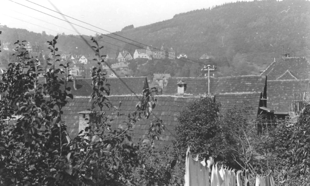 Garten mit Blick auf den Schloßberg (© Martin Hesse Erben)