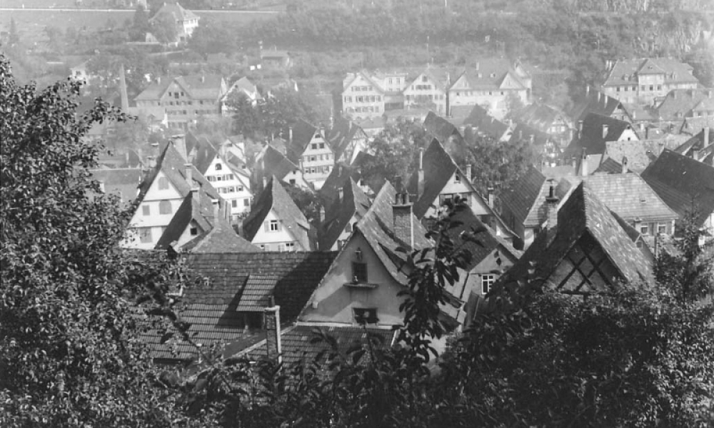 Blick von der Schillerstraße zu den Häusern der Bischofstraße, dem Steinhaus und dem Palais Vischer (© Martin Hesse Erben)