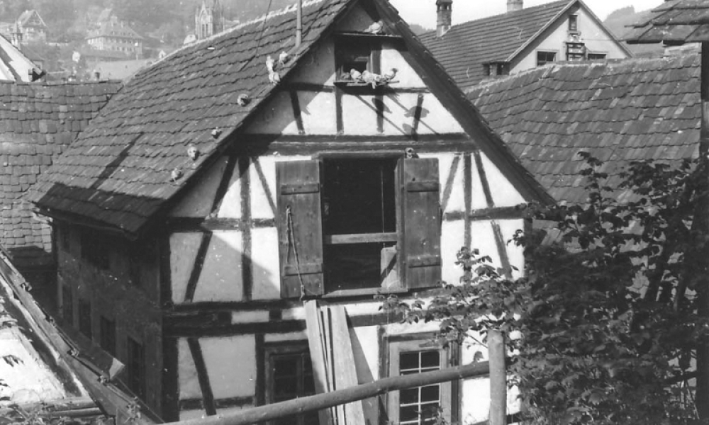 Schuppen hinter den Häusern der Bischofstraße (© Martin Hesse Erben)