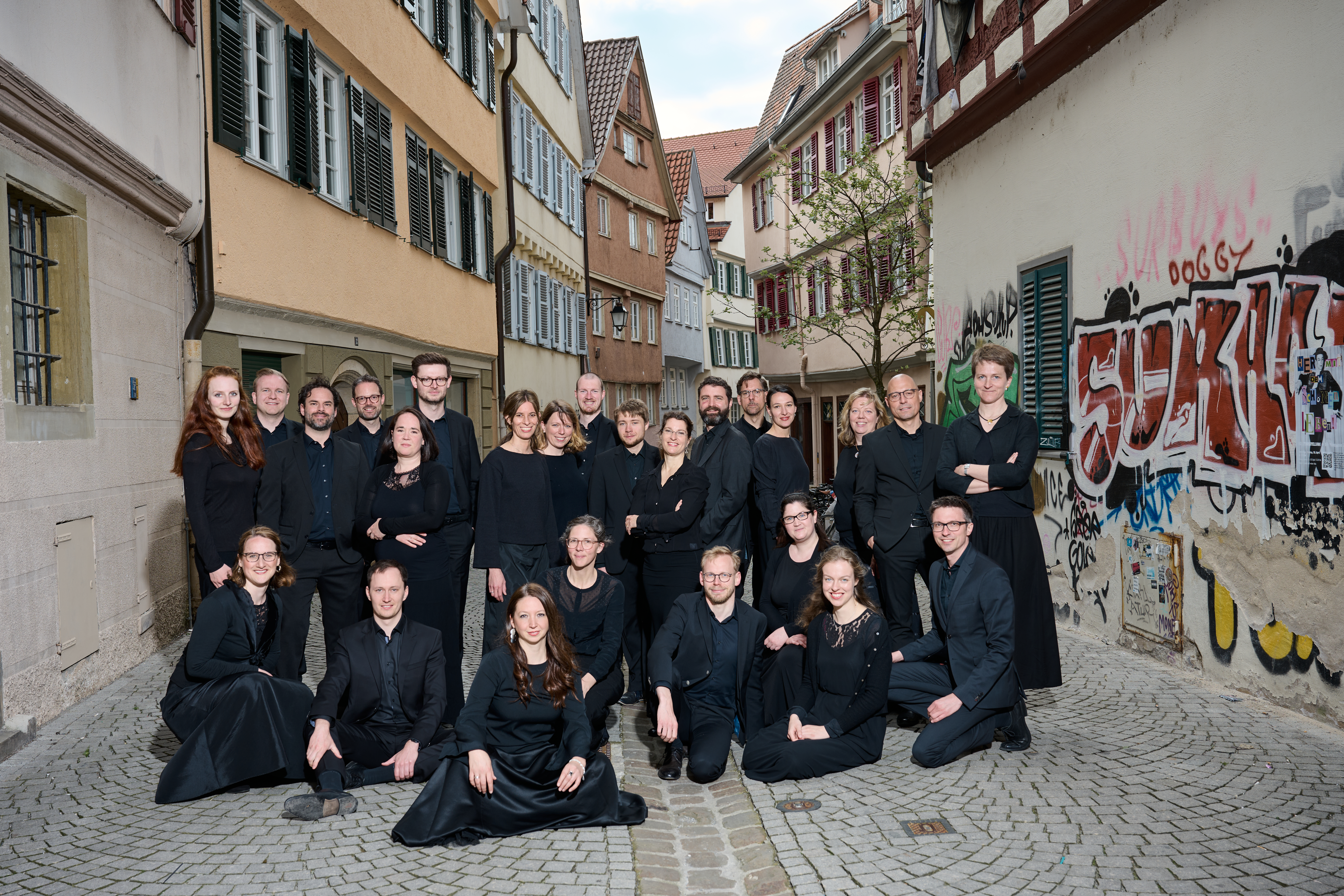 Ensemble Horizons